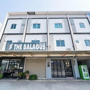 Oyo 497 The Balagus Hotel